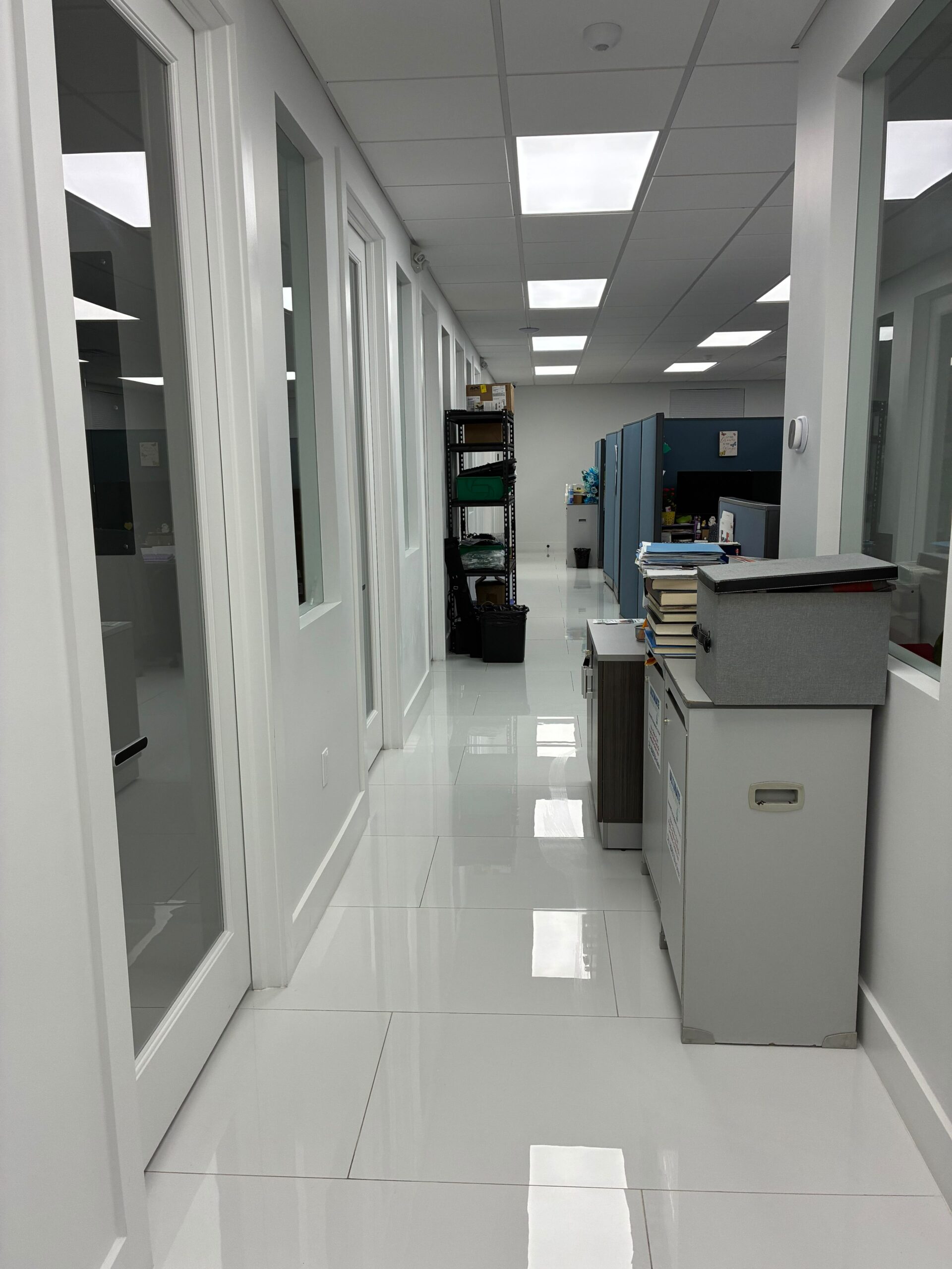Sanus Mundus commercial cleaning team