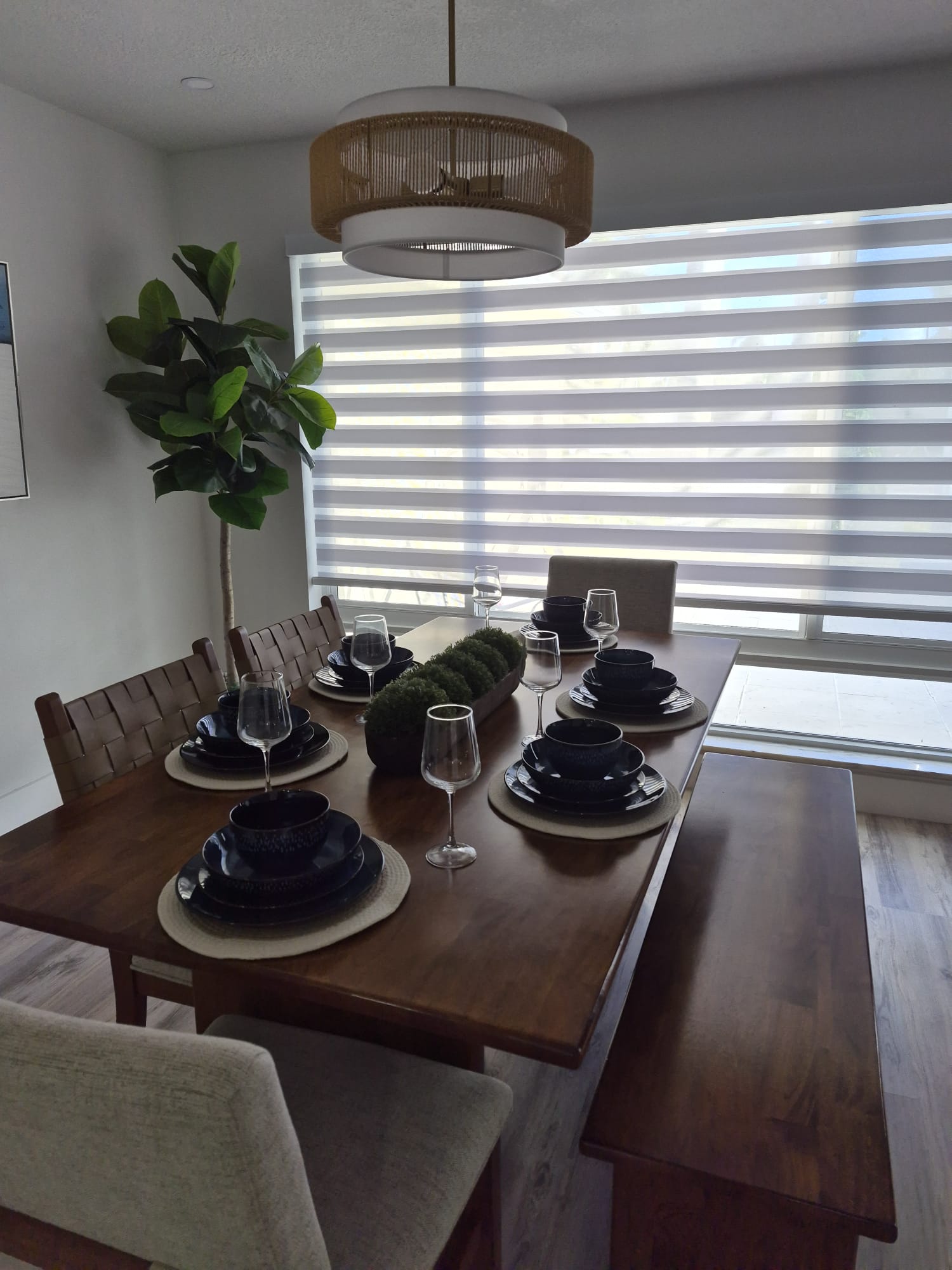 Sanus Mundus residential cleaning